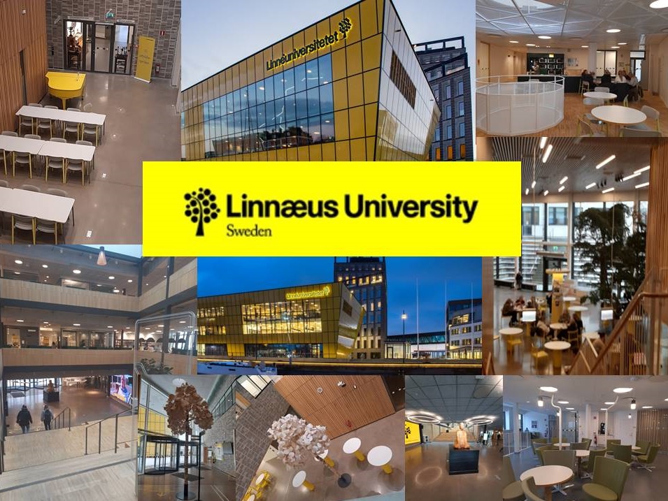 Новини: КНУ налагоджує партнерство з Університетом Ліннея